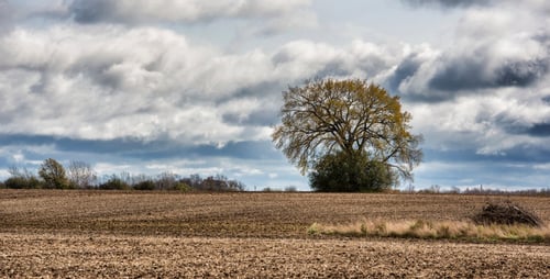 Prince Edward County: Seller’s Market Continues But Will It Last?