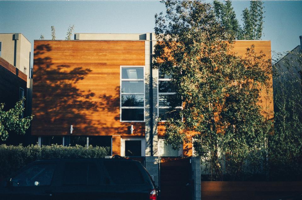 wood paneling, house, windows, modern, trees, entrance