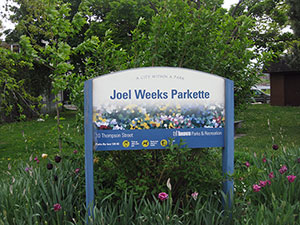 Joel_Weeks_Leslieville