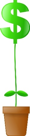 KIM bigstock_Dollar_Plant_4695368