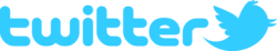 Logo_twitter_withbird_1000_allblue