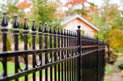 Backyard Boundary Dispute