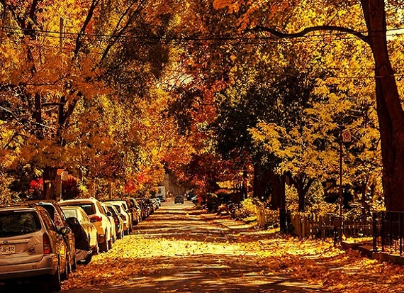 Fall