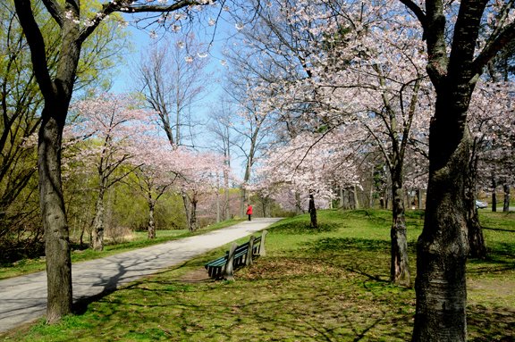 Spring