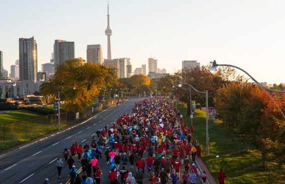 Falltoronto