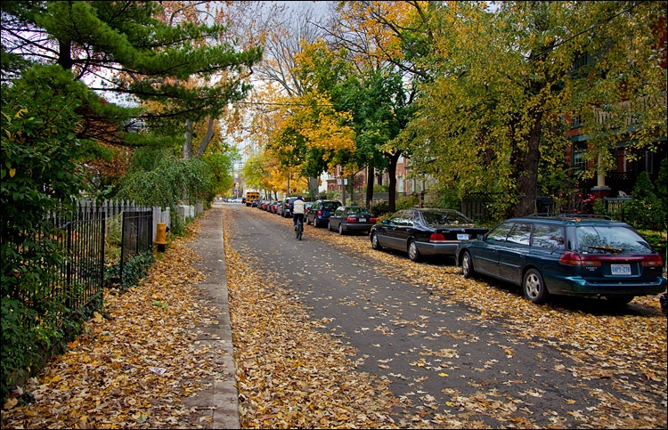 Fall